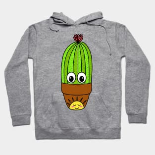 Cute Cactus Design #293: Potted Saguaro In Sunny Pot Hoodie